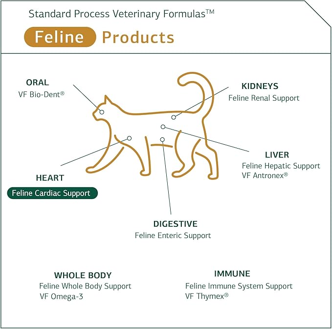 Standard Process Feline Cardiac Support - Cardiovascular System Supplement for Felines - Dietary Cat Supplement to Support Heart Health & Function - Nutritional Tablet Supplement - 90 tablets