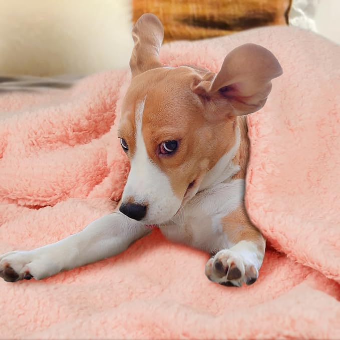 furrybaby Dog Blanket Soft Dog Blankets for Large Dogs Puppy Essentials Washable Sherpa Fleece Cat Blanket 32x40 Inches for Bed Furniture Couch Sofa (Medium, Pink)
