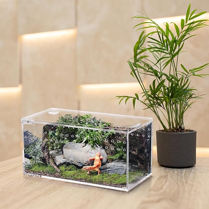 Magnetic Acrylic Reptile Terrarium, 8" x 4" x 4" Transparent Reptile Breeding Box, Feeding Small Tarantula Habitat Tank, Clear Flat Long Enclosure for Invertebrates Spider Scorpion Lizard