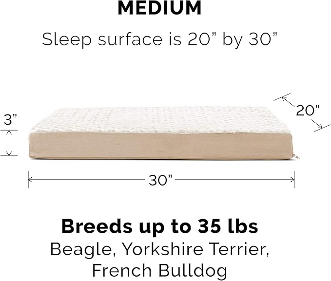 Furhaven Replacement Dog Bed Cover Ultra Plush Faux Fur & Suede Mattress, Machine Washable - Cream, Medium