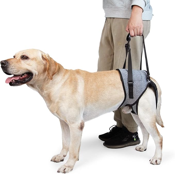 Dotoner Dog Sling for Large Dogs Hind Leg Support to Help Rehabilitate The Hind Limbs of Elderly Dogs with Weak Hind Legs Disabilities and Injuries Dog Harness Helps Arthritis ACL Recovery（XL,Grey）