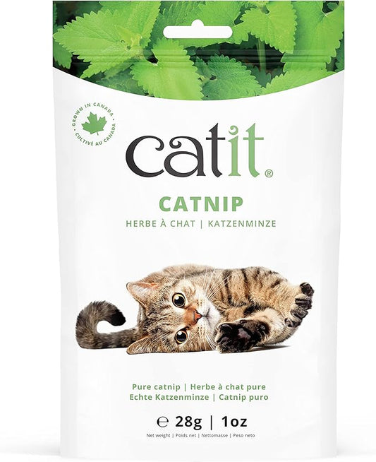 Catit Dried Catnip for Stimulating Indoor and Outdoor Cats, 1 oz.