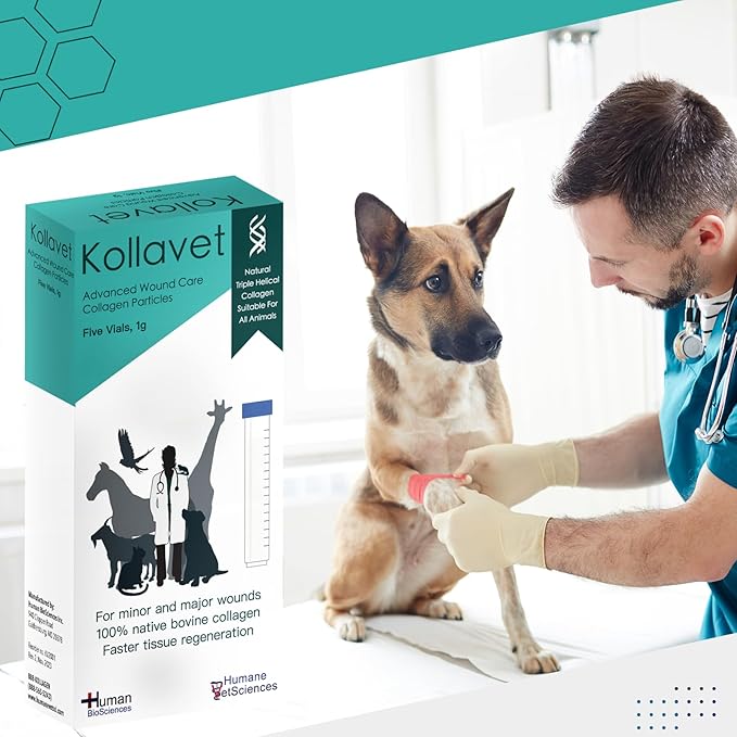 Veterinarian-Recommended Animal Wound Care Dressing for Cats, Dogs, Horses, Reptiles, Pets, and Working Animals (1 Gram Vials)