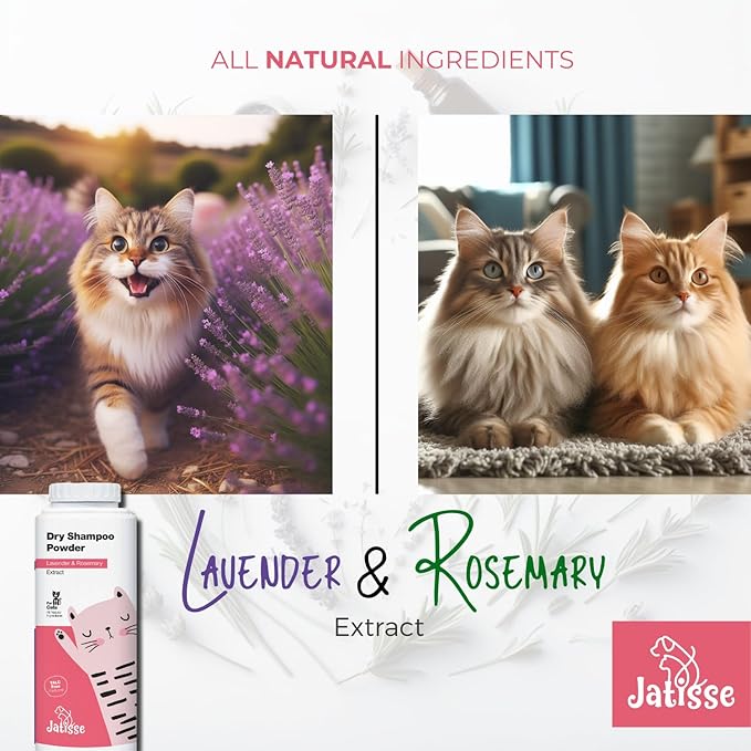 Cat Dry Shampoo Powder with Lavender and Rosemary for Cats 5.29 fl. oz| Grooming for Cat | Kitten Sensitive Skin | Cleansing and Moisturizing Perfume and Talc Free (1)