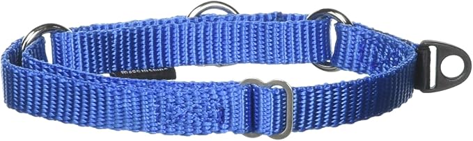 PetSafe Adjustable Martingale Collar - Only Tightens When Dogs Pull, Prevents Slipping Out - Helps with Strong Pullers, Increased Control - Alternative to Choke Collar - 3/8", Petite, Royal Blue