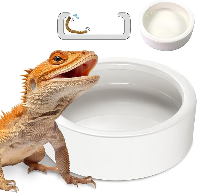 Reptile Food Water Bowls - Amphibian Feeding Dish, Resin Rock Worm Feeder Terrarium for Lizards, Chameleon, Leopard Gecko, Frog, Bearded Dragons, Snake, Hermit Crabs, Turtle Spider Pet