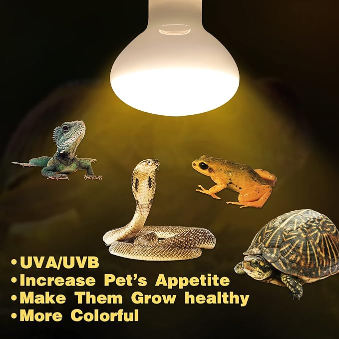 UVA UVB Reptile Light Reptile Heat Lamp Bulb 100 Watt Basking Bulbs for Reptiles Fits E26/E27 Base for Amphibians Bearded Dragon Accessories (100W)