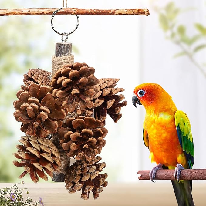 Bird Toys Parrot Toys - Bird Chewing Toy with Natural Pine Cones for Small and Medium-Sized Parakeets Cockatiels Conures Lovebirds Cockatoos African Grey Amazon Parrots