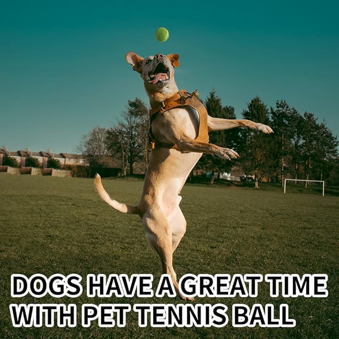 Dog Tennis Balls 16 Pack Easy Catch Pet Dog Tennis Balls for Dogs Interactive Dog Balls Toys for Medium Dogs and Small Dogs Standard Size Tennis Balls for Toss and Fetch Game(2.5 inch)