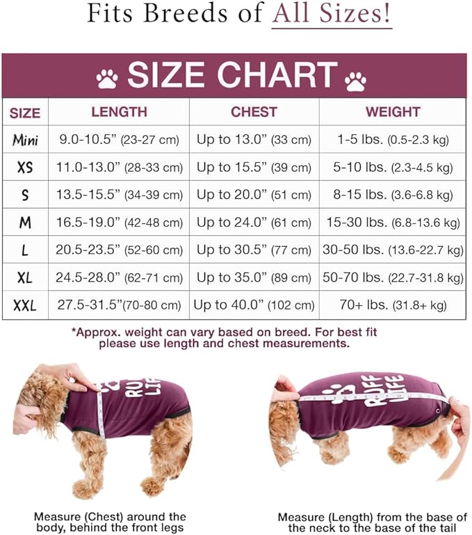 BellyGuard Recovery Suit for Dogs, After Surgery Dog Recovery Suit Female and Male, Soft Cotton Dog Surgery Suit Female Spay, Dog Surgical Recovery Suit Male Neuter, Comfy Surgical Onesie for Dogs.