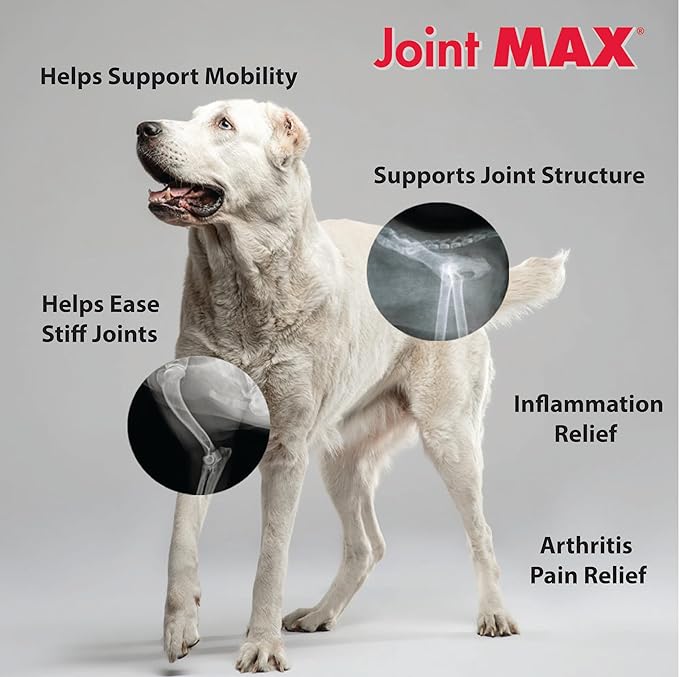 PHS Joint MAX Triple Strength (TS) Soft Chews for Dogs - Glucosamine, Chondroitin, MSM, Turmeric, Omega 3 - Hip and Joint Pain Relief and Support for Dogs - Made in USA - 30 Soft Chews