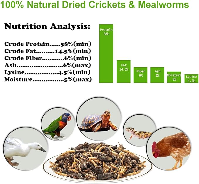 with Natural Dried Crickets (8oz) All Natural 100% Non-GMO, Food for Breaded Dragons, Chicken, Fish, Ducks, Wild Birds, Turtles, Hedgehogs