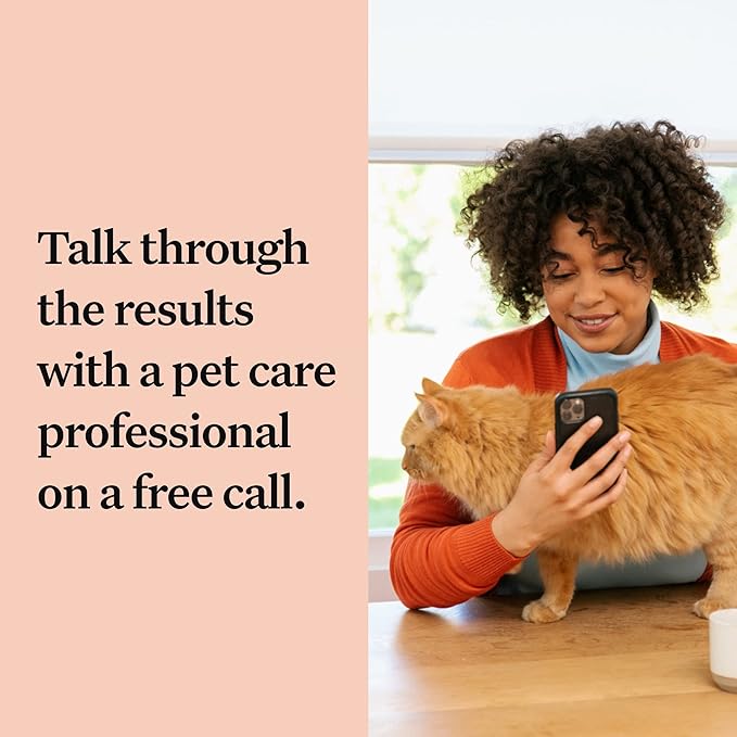 Wisdom Panel Complete: Comprehensive Cat DNA Test kit for 45 Health Genetic Health Conditions, 70+ Breeds and populations, 25+ Traits, Blood Type - 2 Pack