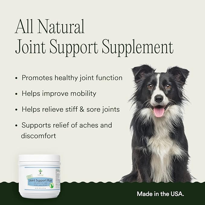 pawTree Joint & Hip Support Supplement for Dogs with Glucosamine, Chondroitin, MSM, Tumeric & Green Lipped Mussels - Vitamins, Supplements & Health Essentials - All-Natural Mobility Soft Chews