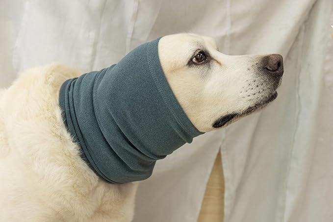 Medium Dog Hoodies Noise Ear Covers for Dogs Ear Protectors No Flap Dog Quiet Ears Noise Cancelling Headphones for dogs Aqua Blue M
