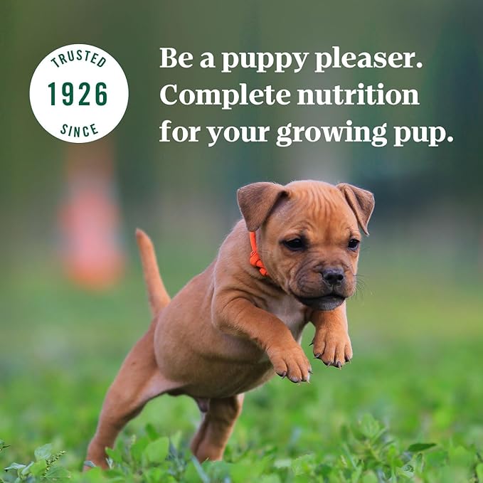 NUTRO PUPPY Grain Free Natural Wet Dog Food Bites in Gravy Tender Beef, Pea & Carrot Recipe, (24) 3.5 oz. Trays