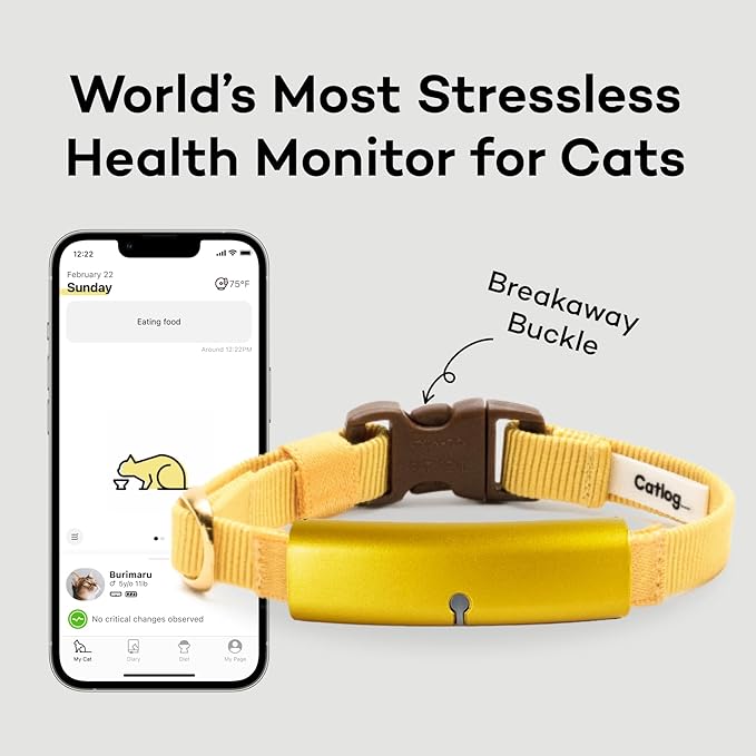 Smart Collar (Yellow, L) - Smart Collar with a Breakaway Buckle, Healthcare Tracker for Indoor Cat, Live Behavior Tracking, Loss of Energy Alerts