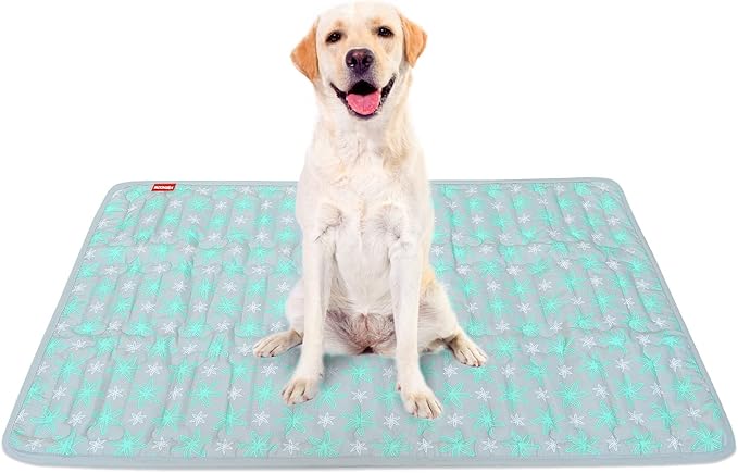 Dog Crate Mat (36" X 23"), Soft Dog Bed Mat with Cute Prints, Personalized Dog Crate Pad, Anti-Slip Bottom, Machine Washable Kennel Pad, Green