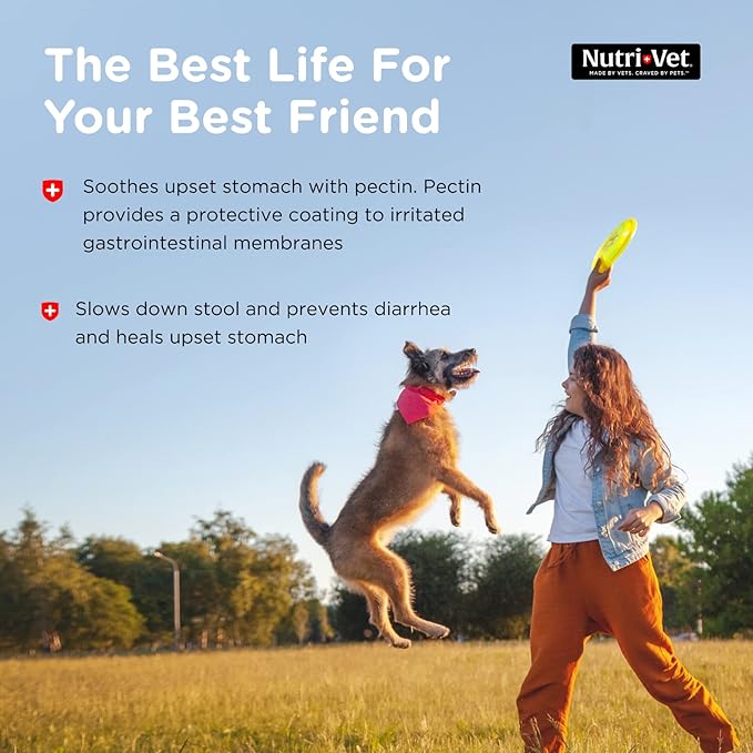 Nutri-Vet Anti-Diarrhea Liquid for Dogs - Helps Sooth Upset Stomach & Stop Diarrhea - Veterinarian Formulated - 4 oz