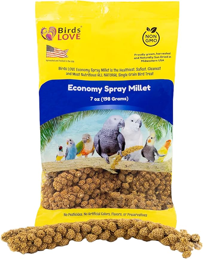 Birds LOVE Economy & Thin Special Spray Millet GMO-Free (No Stems Only Edible Tops) for Birds Cockatiel Lovebird Parakeet Finch Canary All Parrots Healthy Treat - 7oz