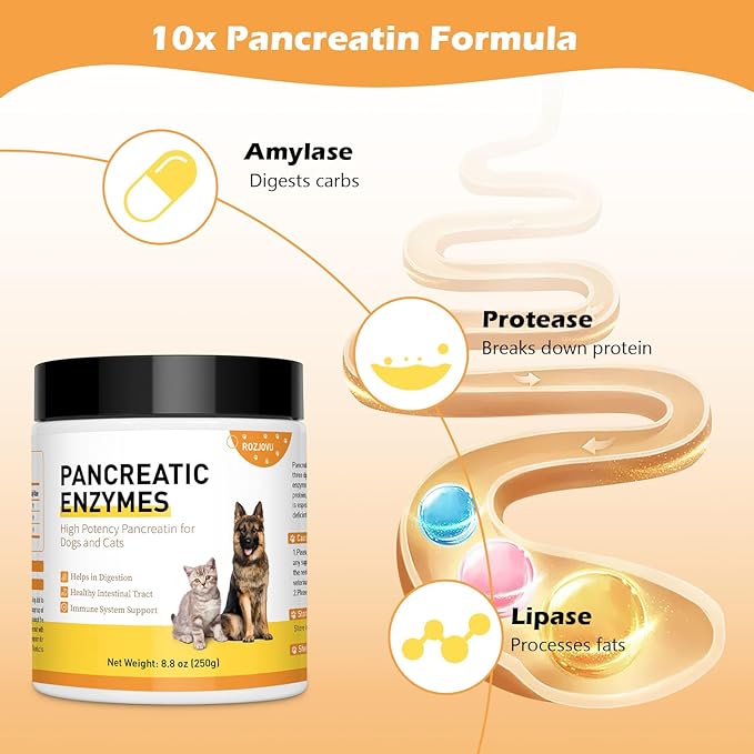 8.8 Ounces Pancreatic Enzymes for Dogs - 10x Pancreatin - Dog Digestive Enzymes Powder for EPI - Helps Restore Normal Weight, Supports Pancreatic Issues and Relieves Digestive Stress