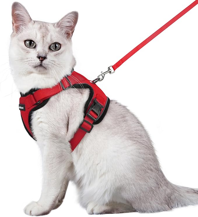 rabbitgoo Cat Harness and Leash for Walking, Escape Proof Soft Adjustable Vest Harnesses for Cats, Easy Control Breathable Reflective Strips Jacket, Red, M