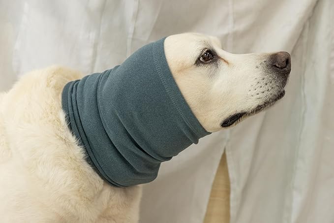 Medium Dog Hoodies Noise Ear Covers for Dogs Ear Protectors No Flap Dog Quiet Ears Noise Cancelling Headphones for dogs Aqua Blue M