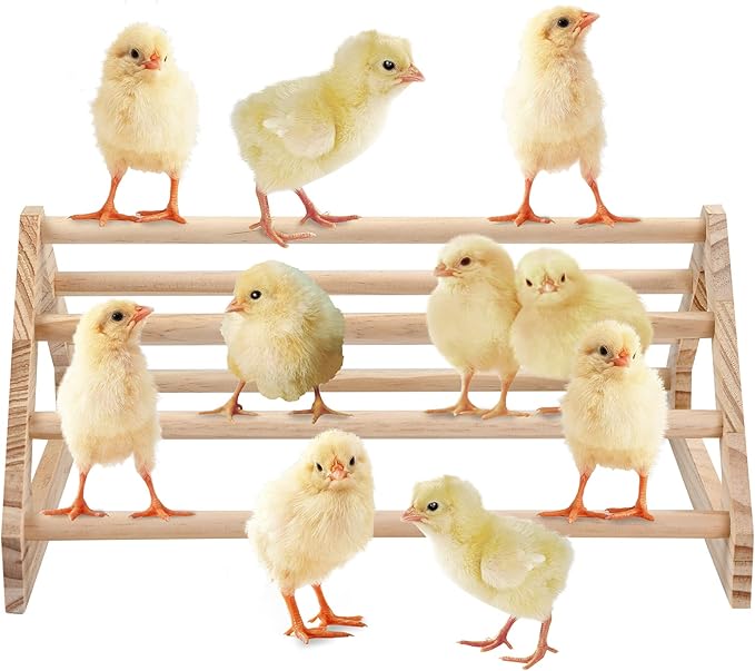 Chicken Perch Strong Pine Wooden Chick Jungle Gym Roosting Bar, Chick Perch Toys for Coop and Brooder for Large Bird Baby Chicks Parrot Hens (Large)