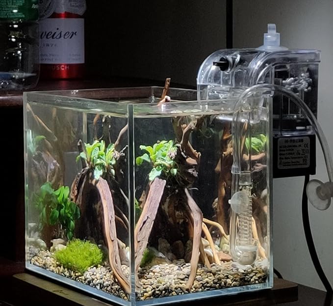 Small Nano Tall Rimless Tank, Small Glass Fish Tank, Small Betta Fish Tank, Small Aquarium, min Aquarium, Betta Tank (1.1Gallon 7.8x5.5x5.9inch/20x14x15cm)