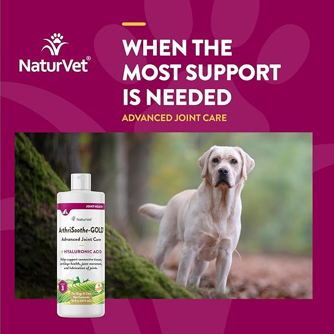 NaturVet – ArthriSoothe-Gold Advanced Care Liquid | Level 3 Advanced Joint Care | Supports Healthy Hip & Joint Function | Enhanced with Glucosamine, MSM & Chondroitin | For Dogs & Cats | 16 oz Liquid