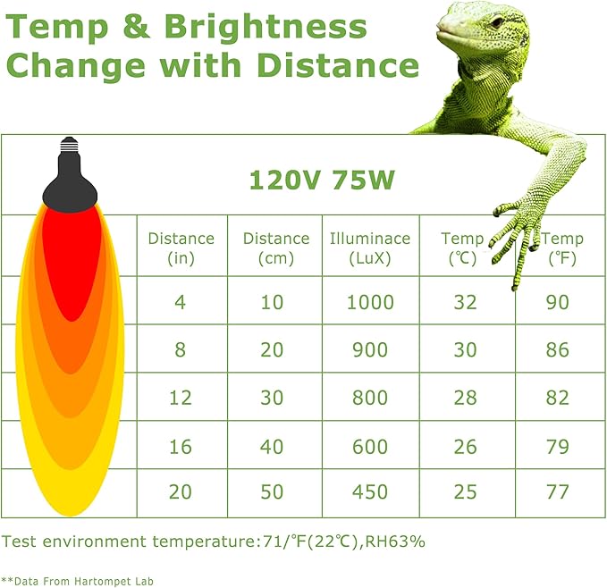 Reptile Heat Lamp Bulbs 75W E26 - UVA Basking Spot Light for Reptiles - Simulated Sunlight for Bearded Dragon, Lizard, Tortoise, chickss and More | 2 Pack