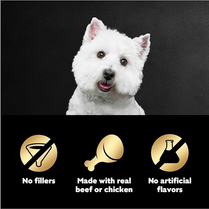 Cesar Filets in Gravy Wet Dog Food Filet Mignon Flavor, Rotisserie Chicken Flavor, and Wood-Grilled Chicken Flavor Variety Pack, 1.76 oz. Mini-Pouches, 40 Pack