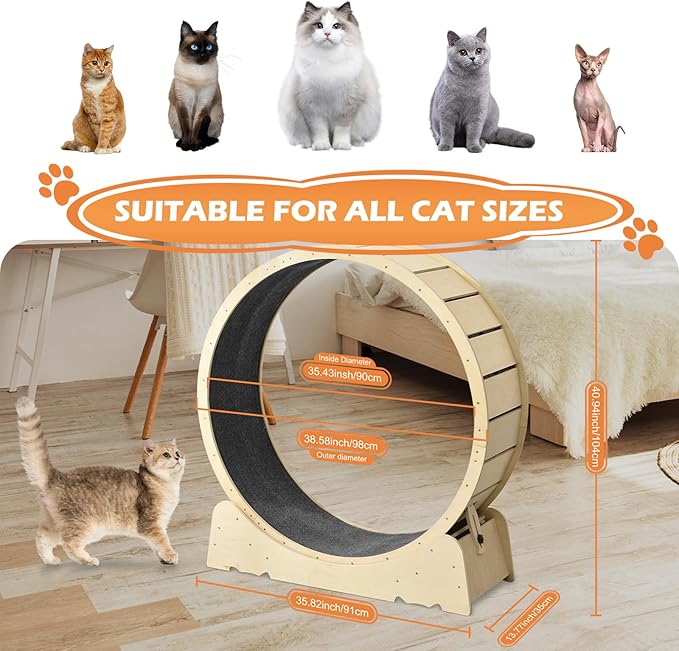 Cat Wheels for Indoor Cats, One Fast Cat Exercise Wheel Indoor, Cat Running Wheel, XLarge Cat Treadmill Wheel for Kitty, Low-Noise, Cat Wheel Exerciser, for Fitness Weight, Natural Wood (XL)
