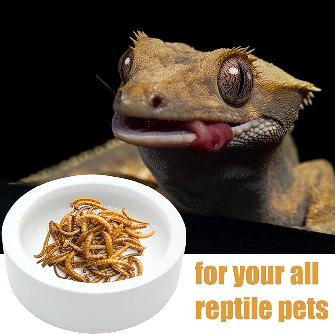 2PCS Reptile Bowl, Ceramic Reptile Food Water Dish, Mini Pet Reptile Feeding Bowl Worm Dish for Lizard Bearded Dragons Gecko