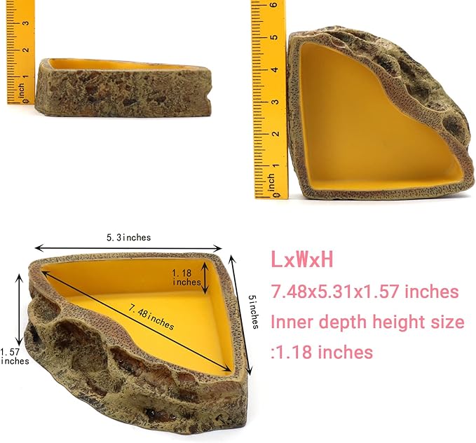 Reptile Feeder Resin Bowl Amphibian Reptile Bowl for Reptile Lizard Gecko Bearded Dragon Turtle