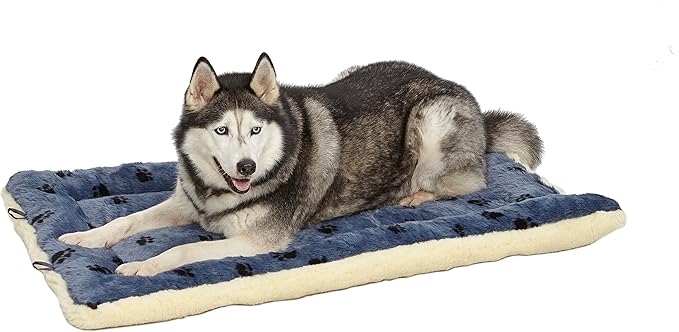 MidWest Homes for Pets Reversible Paw Print Pet Bed in Blue / White, Dog Bed Measures 45.2L x 28W x 3.8H for X-Large Dogs, Machine Wash