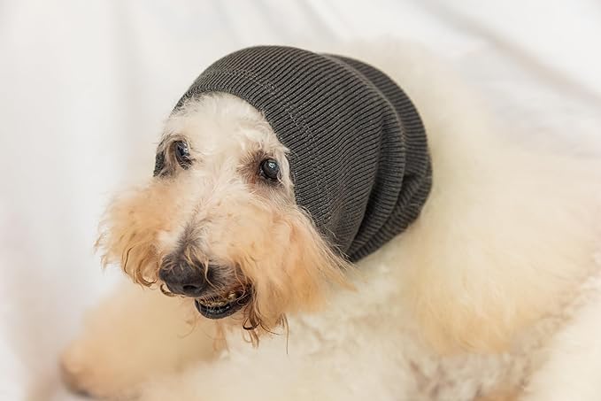 Dog Noise Cancelling Ear Muffs No Flap Dog Ear Protectors for Dogs Hoodie Wrap Quiet Headphones for dogs Grey M