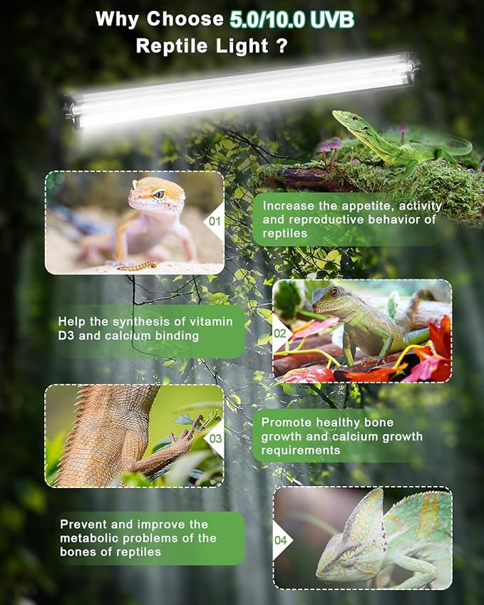 T5 UVB Reptile Light Kit, 39W T5 Reptile Light Fixture with UVB 10.0 Fluorescent Bulb, 35 in Terrarium Hood Light Fixture, Ideal for Tropical and Desert Habitats Reptile