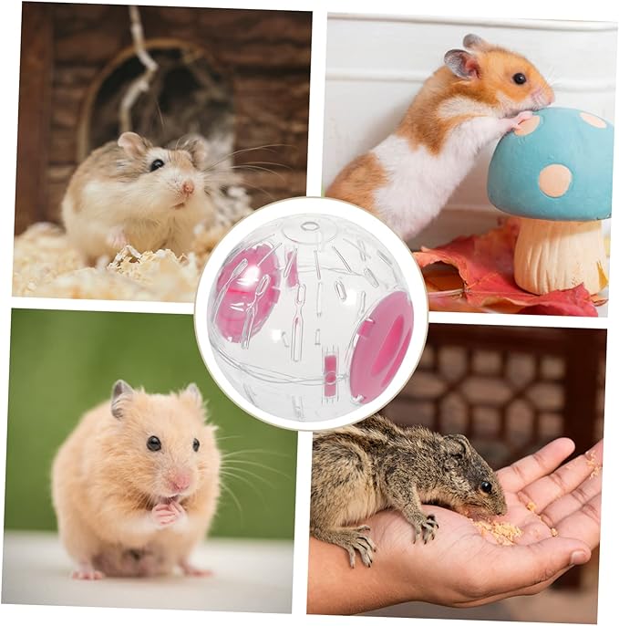 8 Pcs Small Hamster Sports Ball Hamster Ball Hedgehog Exercise Balls Hamster Exercise Balls Hedgehog Running Balls Gerbils Running Balls Guinea Pig Exercise Balls Guinea Pig Ball