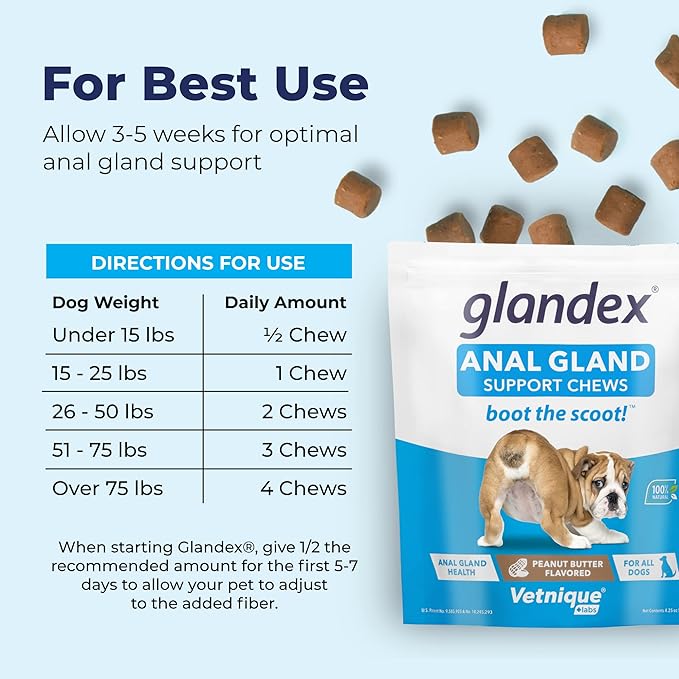 Glandex Anal Gland Soft Chew Treats with Pumpkin for Dogs Digestive Enzymes, Probiotics Fiber Supplement for Dogs Boot The Scoot (Peanut Butter Chews, 30ct)