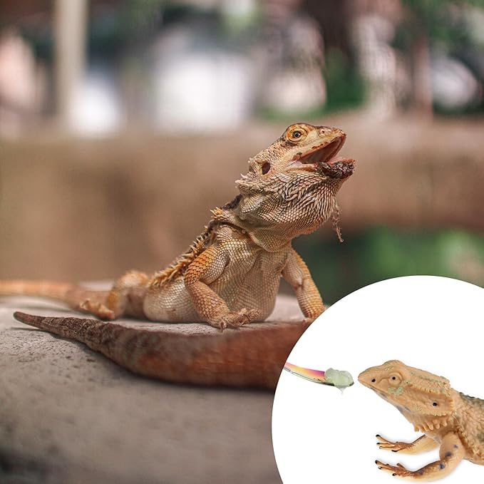 2Pcs Crested Gecko Food Spoons, 8.9" Long Handle Stainless Steel Reptile Spoon, Fruit Mixing Stirring Food Feeding Spoon for Gargoyle Bearded Dragon