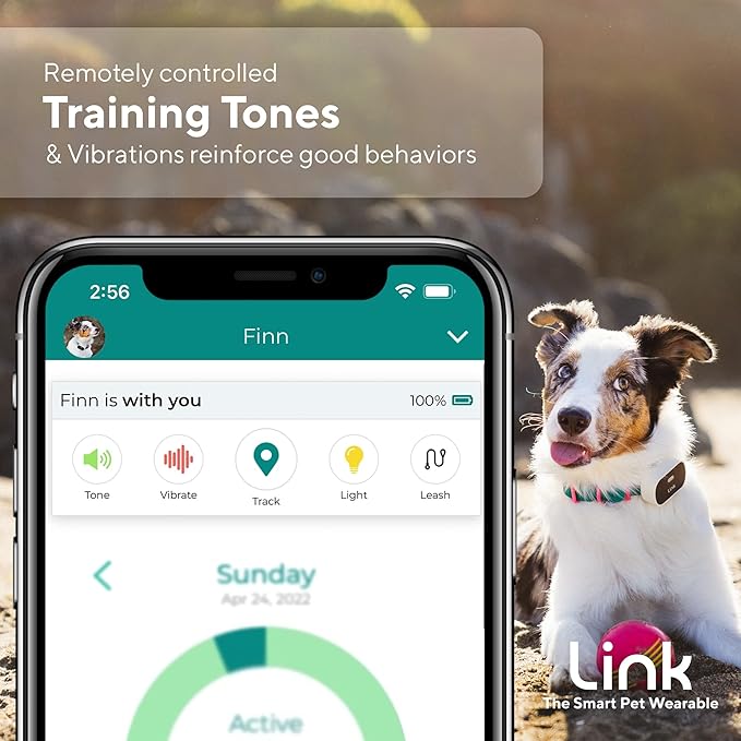 Link GPS Dog Tracker + Activity Monitor | Training Tools, Health Tracker, Waterproof, Flashlight, Lightweight, PetPass & Vet Record Storage, Fits On Most Collars | iPhone & Android Apps