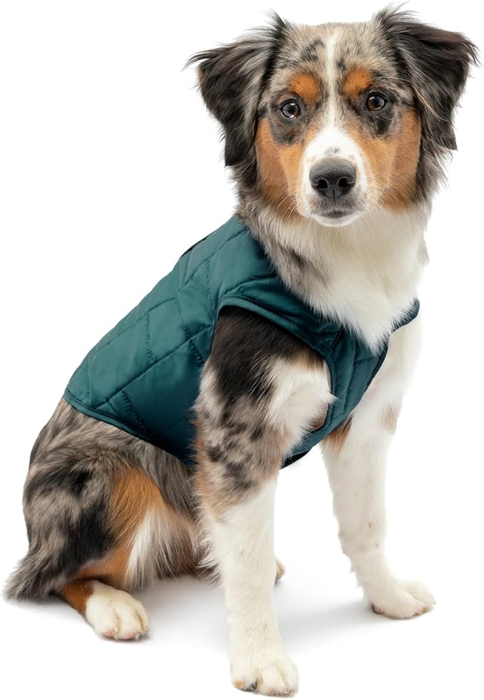 Kurgo Loft Dog Jacket, Reversible Dog Coat, Wear with Harness or Sweater, Water Resistant, Reflective, Winter Coat for Small Dogs (Ink Blue, XS)