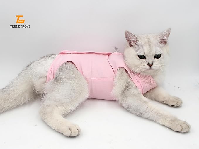 2PCS Cat Cone Collar and Cat Recovery Suit, Anti-Bite, Stop Licking Wounds, Adjustable Soft Elizabethan Cone, Cat Onesie for Female Cat After Surgery