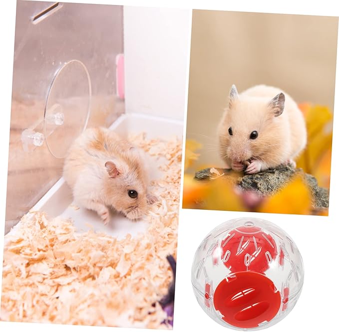 10 Pcs Small Hamster Sports Ball Hamster Stuff Hamster Balls for Dwarf Hamsters Small Pet Running Balls Small Hamster Ball Hedgehog Running Balls Cage Rat Exercise Balls