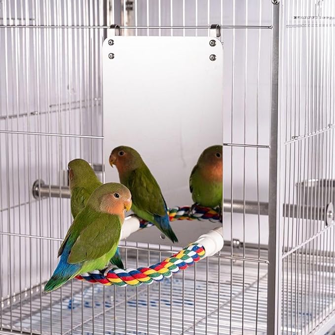 Bird Mirror with Rope Perch Bird Toys Swing, Bird Mirror for Cage,Bird Buddy Accessories,Comfy Perch,Bird Toys for Greys Amazons Parakeet Cockatiel Conure Lovebirds Finch Canaries