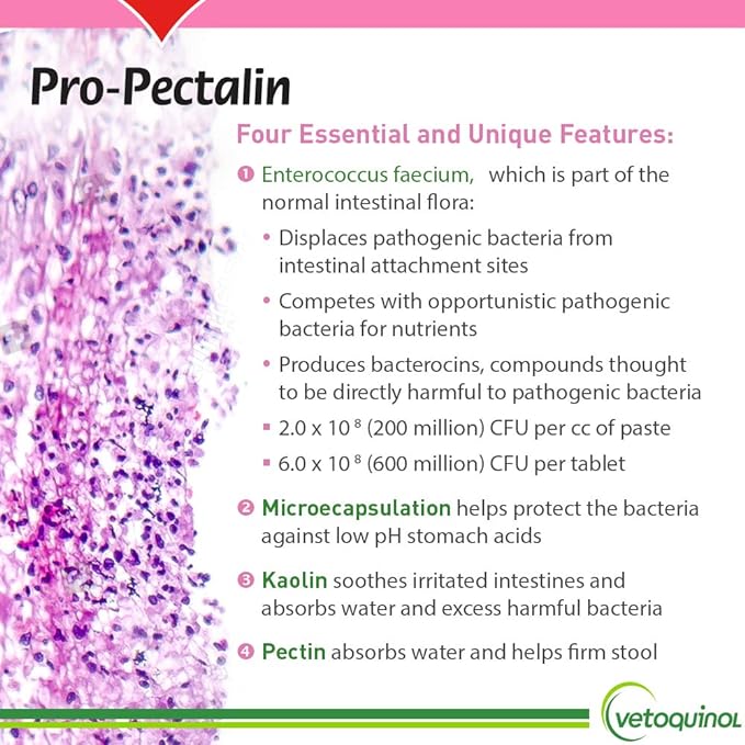 Vetoquinol Pro-Pectalin Chewable Tablets for Dogs & Cats – 250ct, Beef Liver Flavor – Helps Reduce Occasional Loose Stool & Diarrhea, Balance Gut pH, Support Normal Digestion & Intestinal Flora