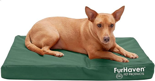 Furhaven Water-Resistant Orthopedic Dog Bed for Medium/Small Dogs w/ Removable Washable Cover, For Dogs Up to 35 lbs - Indoor/Outdoor Logo Print Oxford Polycanvas Mattress - Forest, Medium