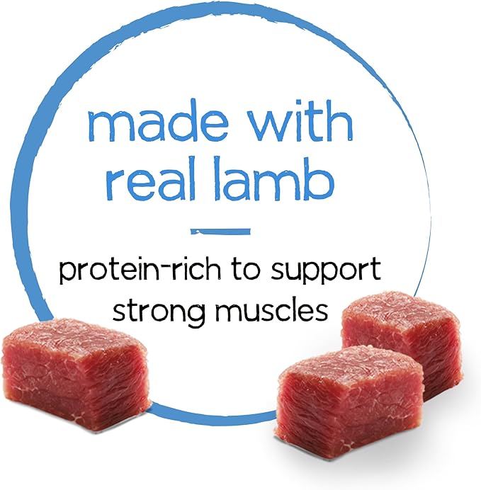 Purina Beneful Infused Wet Dog Food Pate with Real Lamb, Carrots and Spinach, with Sunflower Oil - (Pack of 12) 3 oz. Cans