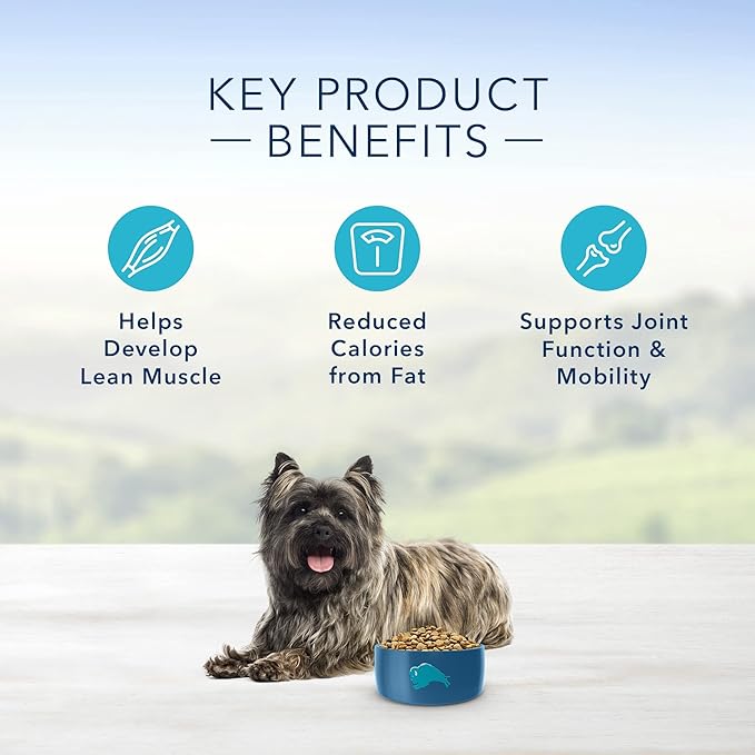 Blue Buffalo Life Protection Formula Healthy Weight Small Breed Dry Dog Food, Supports an Ideal Weight, Made with Natural Ingredients, Chicken & Brown Rice Recipe, 5-lb. Bag